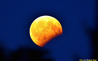Całkowite zaćmienie księżyca. Obserwatorium w Truszczynach zaprasza na wyjątkową noc